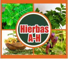 Hierbas A to H